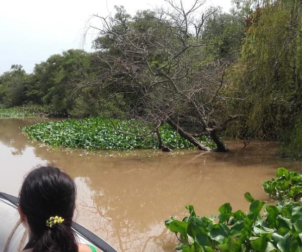 Safari delta Off the beaten path boat tour in Tigre – Buenos Aires Province, Argentina