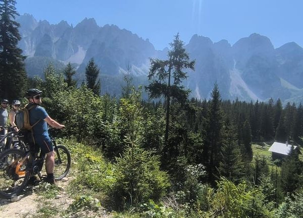 Salzkammergut: Guided e-bike tour to the alpine pastures in Gosau and Hallstatt – Upper Austria, Austria