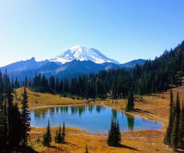 Seattle All-Inclusive: Hike Mt. Rainier and Wine Tasting – Mount Rainier National Park, Washington