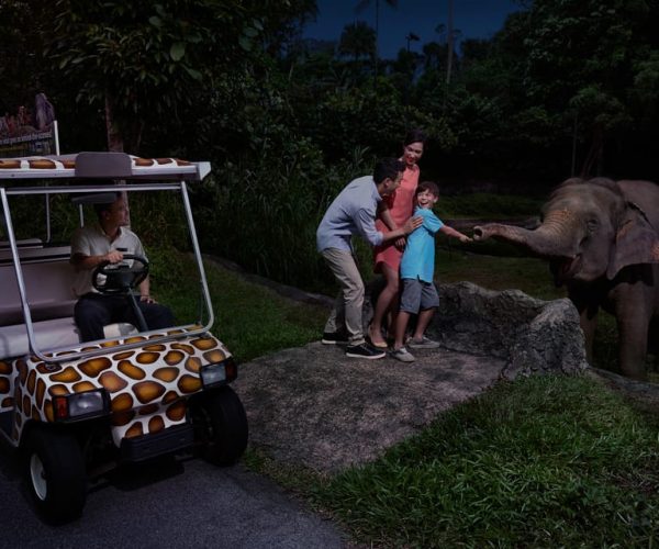 Singapore: Night Safari and Tram Ride Ticket – Singapore, Singapore