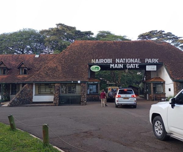 Small Group Nairobi National Park Half-Day Game Drive – Central Kenya, Kenya