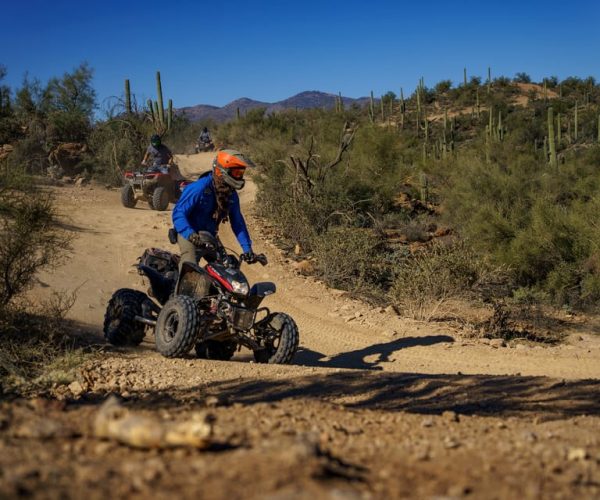 Sonoran Desert: Beginner ATV Training & Desert Tour Combo – Phoenix, Arizona