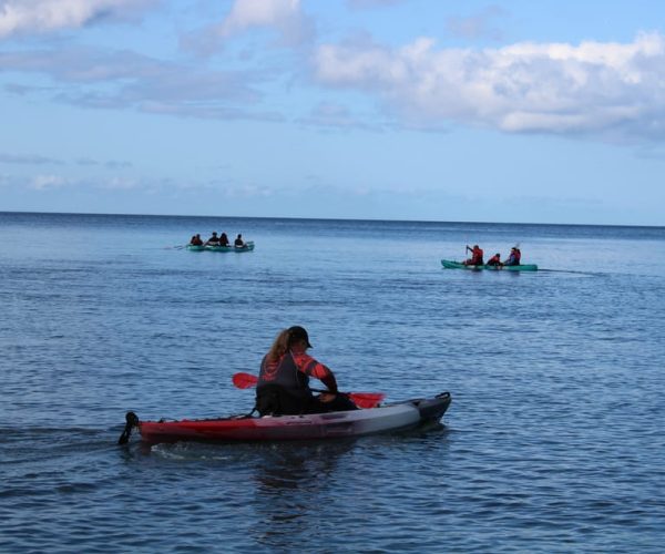 South Maui: Au’au Channel Kayak and Snorkel Adventure – Hawaii, Hawaii