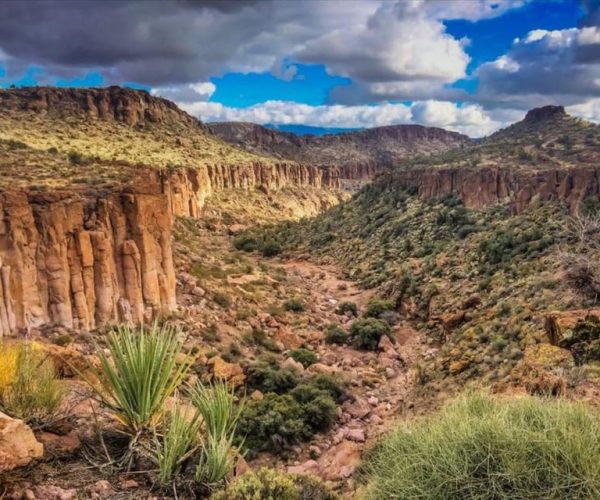 Southwest Horseback Riding (pickup in Laughlin) – Kingman, Arizona