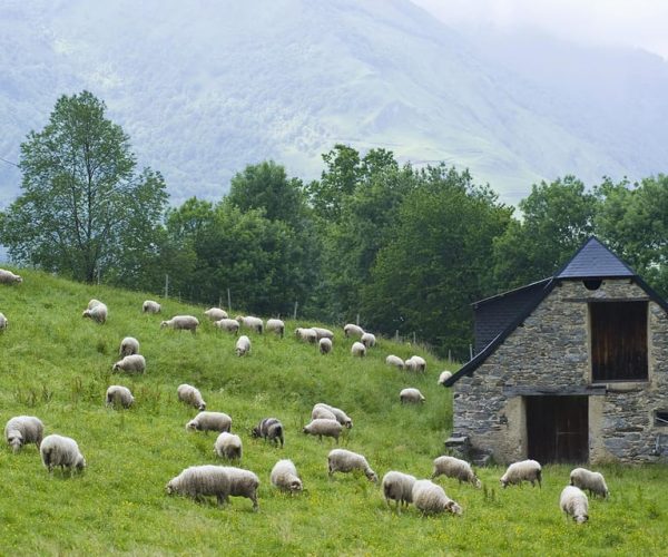 Stay 1 night like a Çoban – Gjirokaster District, Albania