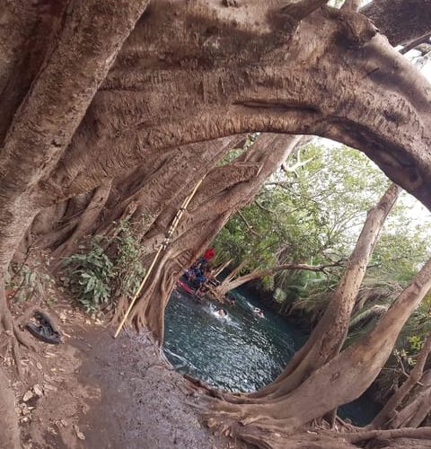 Swim At The Natural Pool at Chemka Hotspring In A Day Tour – Kilimanjaro, Tanzania