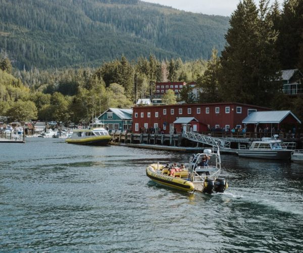 Telegraph Cove: 3-Hour Whale Watching Tour in a Zodiac Boat – British Columbia, Canada