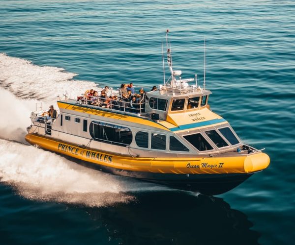 Telegraph Cove: Half-Day Whale Watching Tour – British Columbia, Canada