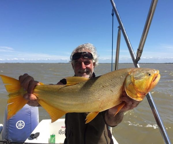 Tigre: Fishing Tour with Lunch and fishing gear Included – Buenos Aires Province, Argentina