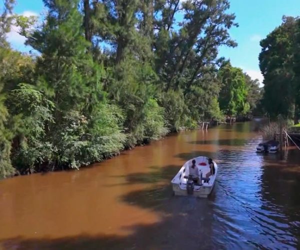 Tigre: Safari Náutico en Tigre/ Biosphere Reserve Boat Tour – Buenos Aires, Argentina