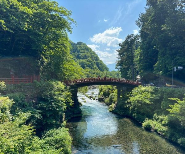 Tokyo: Nikko Private One Day Tour – Kanto Region, Japan