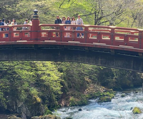 Tokyo: Nikko Unesco Heritage Private Day Tour & Hotel Pickup – Kanto Region, Japan