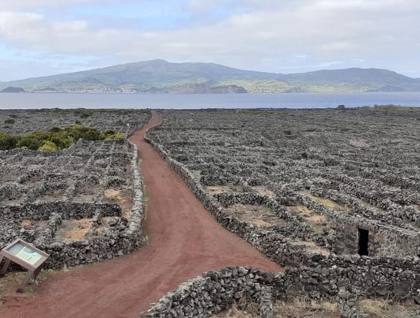 Tours on Pico Island – Cultural and Natural Landscape – Azores, Portugal