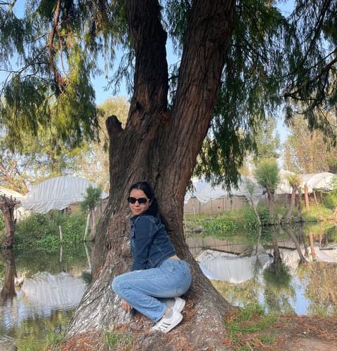 Traditional Xochimilco – Greater Mexico City, Mexico