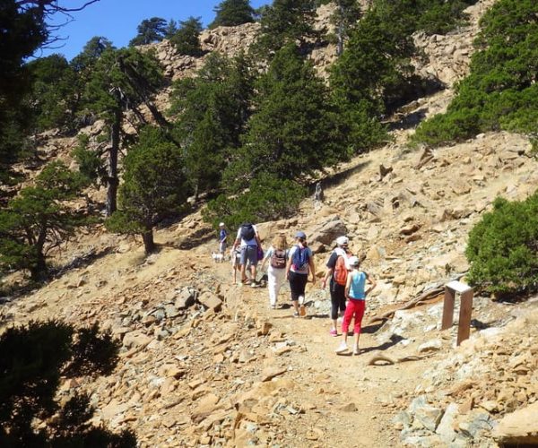 Troodos walking trip – Nicosia District, Cyprus