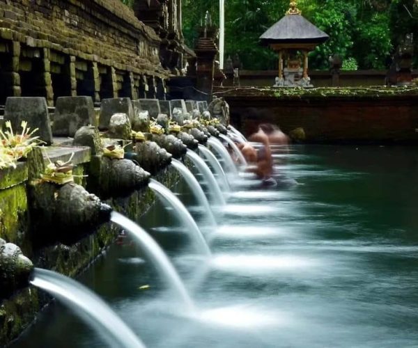 Ubud: Monkey Forest, Rice Terraces, and Waterfall Tour – Bali, Indonesia