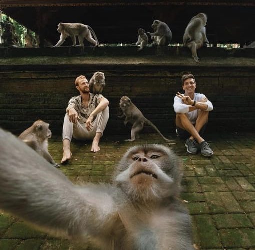 Ubud Monkey Forest, Waterfall, Temple and Rice Terrace Tour – Bali, Indonesia