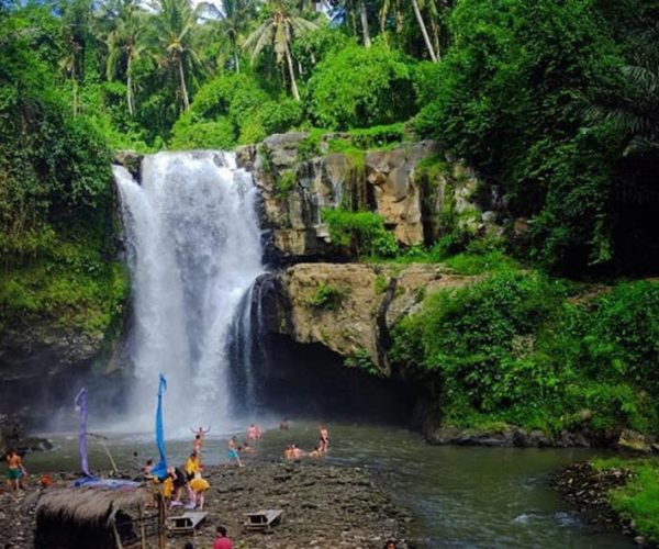 Ubud : Rice Terrace, Monkey Forest and Waterfall – Bali, Indonesia