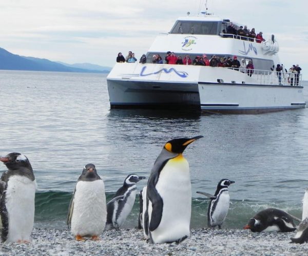 Ushuaia: Beagle Channel and Penguin Island – Tierra del Fuego, Argentina