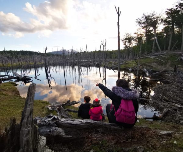 Ushuaia: Visit to Escondido and Fagnano Lakes PM – Tierra del Fuego, Argentina