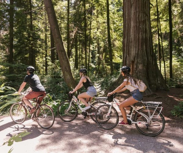 Vancouver: The Epic Electric E-bike Tour Age 16+ – British Columbia, Canada