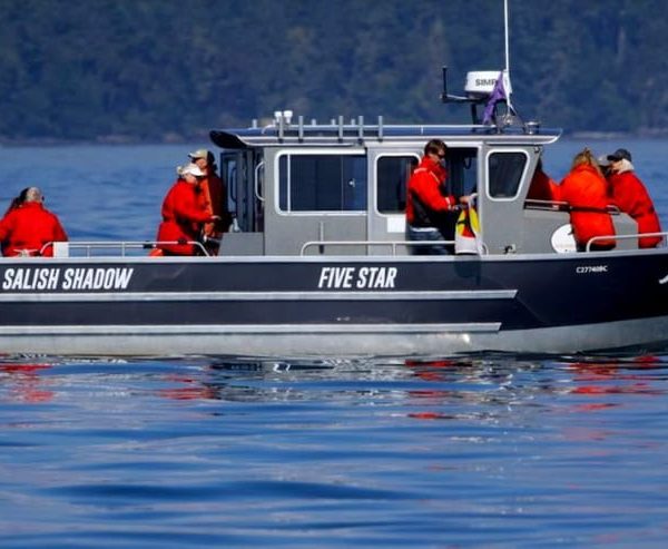 Victoria, BC: 3-Hour Ultimate Whale & Marine Wildlife Tour – British Columbia, Canada