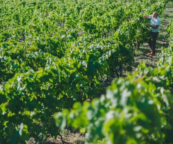 Volcano & Wine – Sicily, Italy