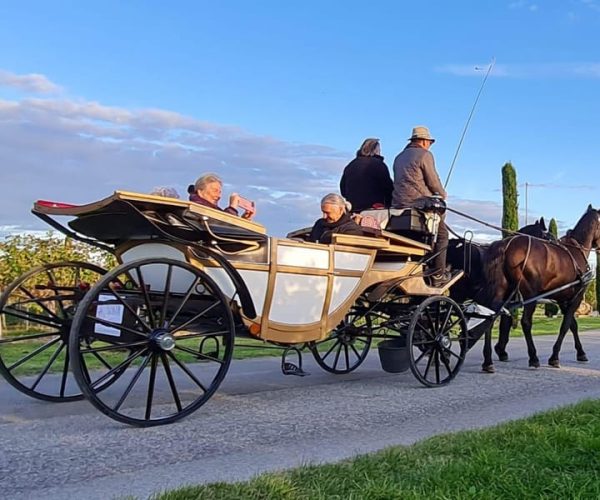 Wachau porcelain carriage A sparkling carriage ride through the vineyards – Lower Austria, Austria