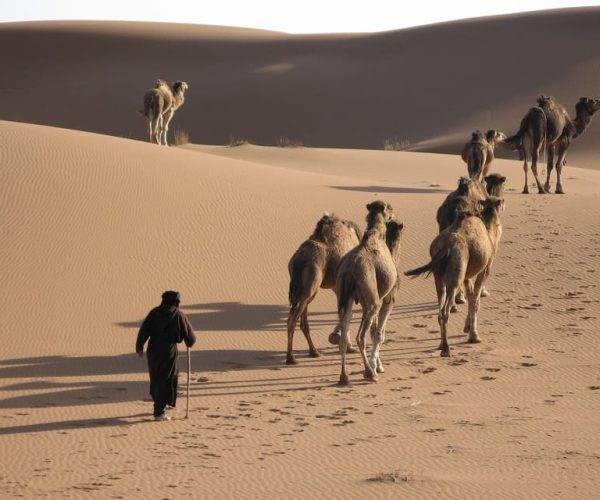 Walk trek 8 day from Marrakech to Erg Chegaga Camel trekking – Souss-Massa, Morocco