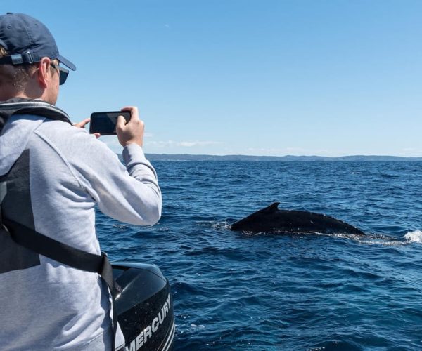 Whales of Sydney Sea Safari – New South Wales, Australia