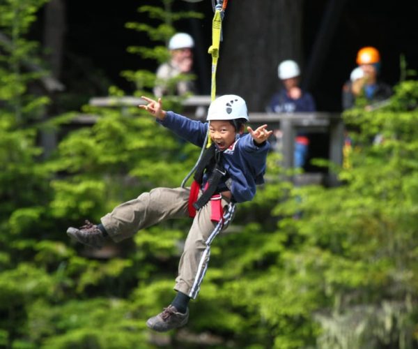 Whistler Zipline Experience: Ziptrek Bear Tour – British Columbia, Canada