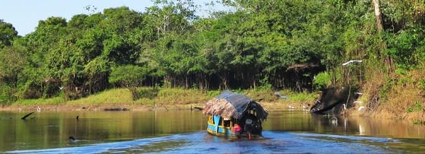 Wild Exploration: Adventure in Pacaya-Samiria – Loreto, Peru, Peru