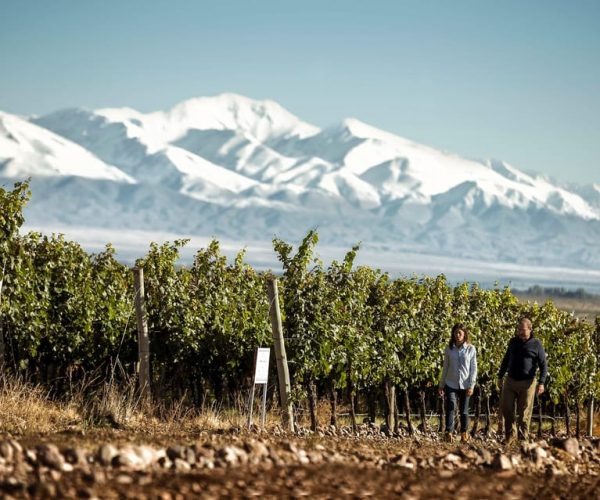 Wines and Sparkling – Mendoza Province, Argentina