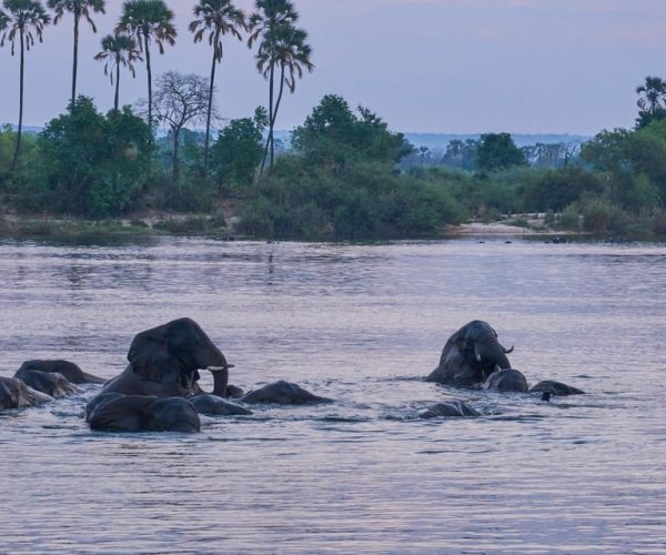 Zambezi River: Dinner Cruise – Zambezi River, Zimbabwe