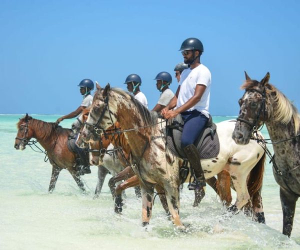 Zanzibar: Half-Day Horseback Riding Adventure with Pickup – Unguja South Region, Tanzania