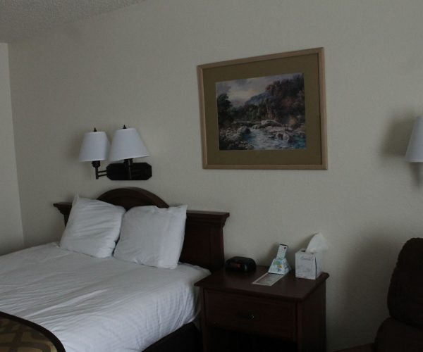 Lone Tree Inn – Sidney, Montana