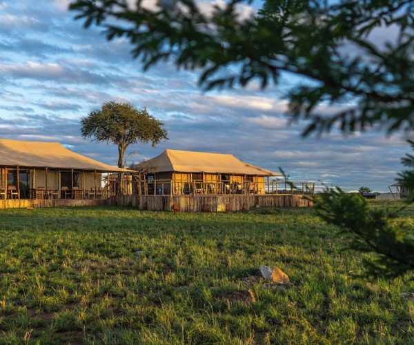 Malaika Luxury Camp Seronera Serengeti – Mara Region, Tanzania