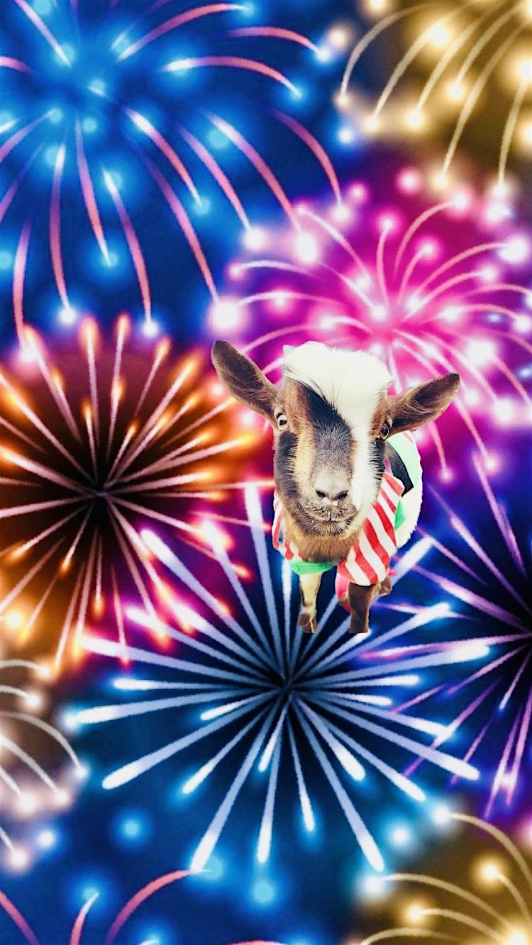 NYE Goat Yoga Las Colinas! – Irving, TX