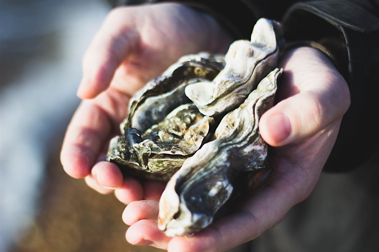 New Year Fredericksburg Oyster Festival – Fredericksburg, TX