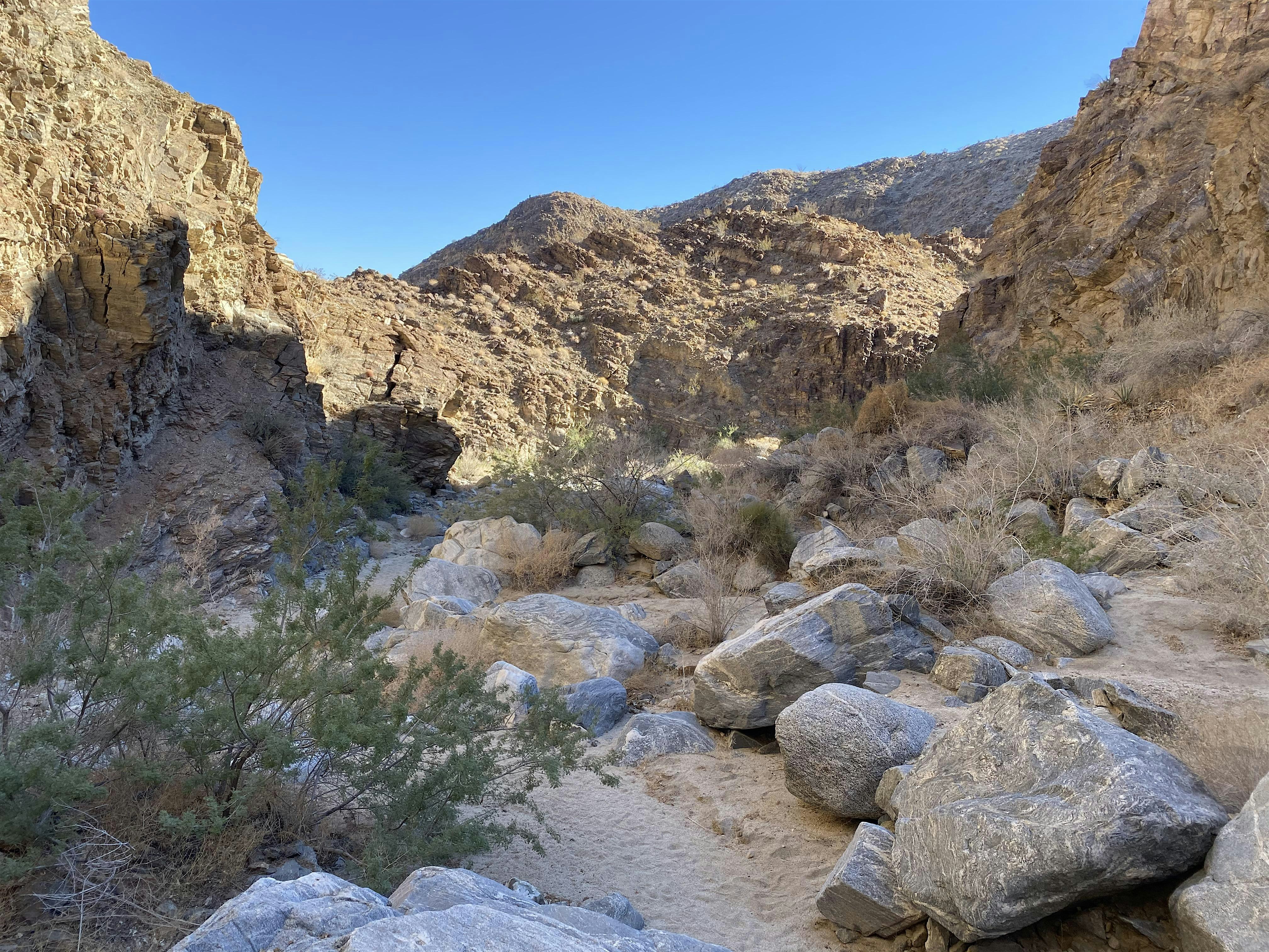 Carrizo Canyon Interpretative Hike – Palm Desert, CA