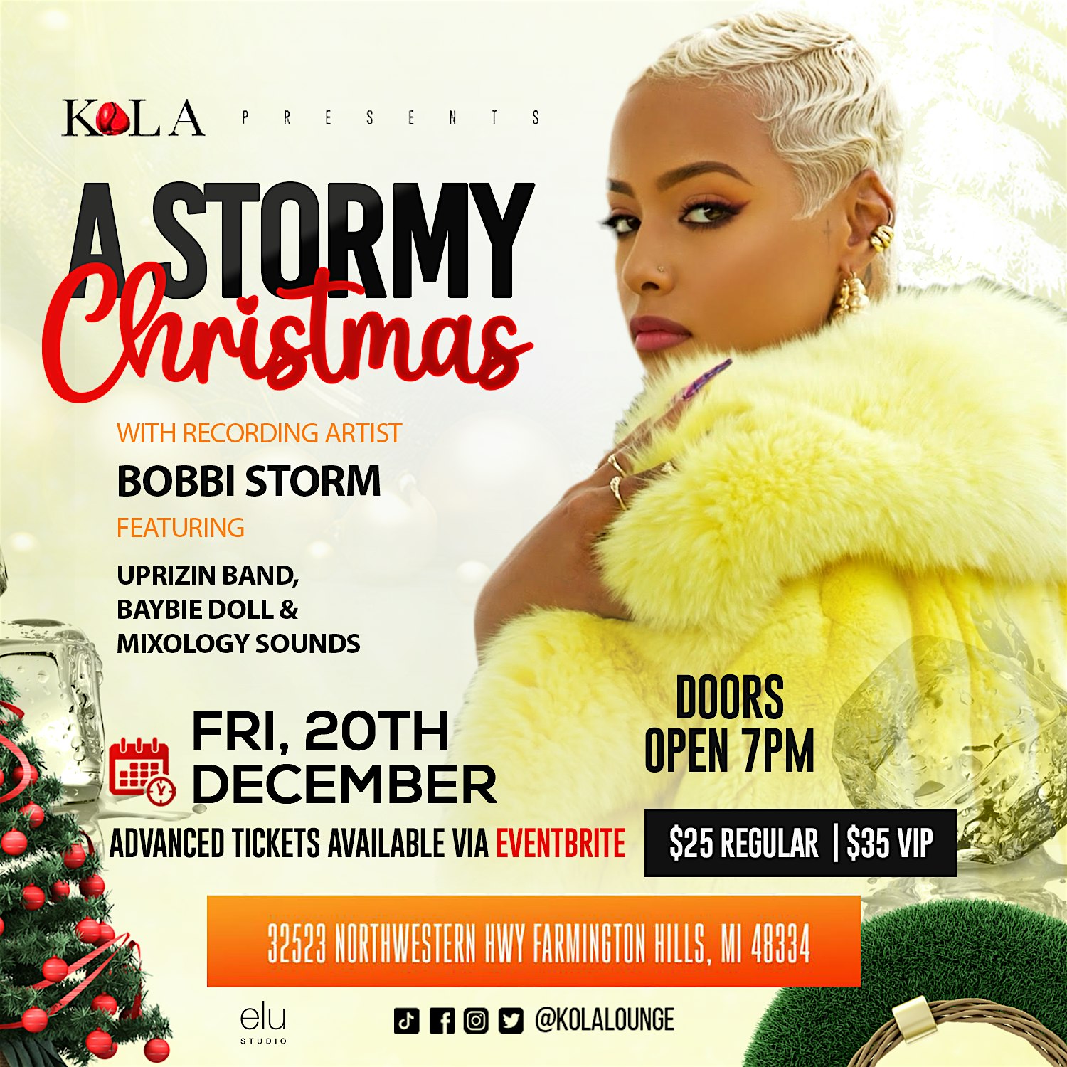 BOBBI STORM LIVE – Farmington Hills, MI