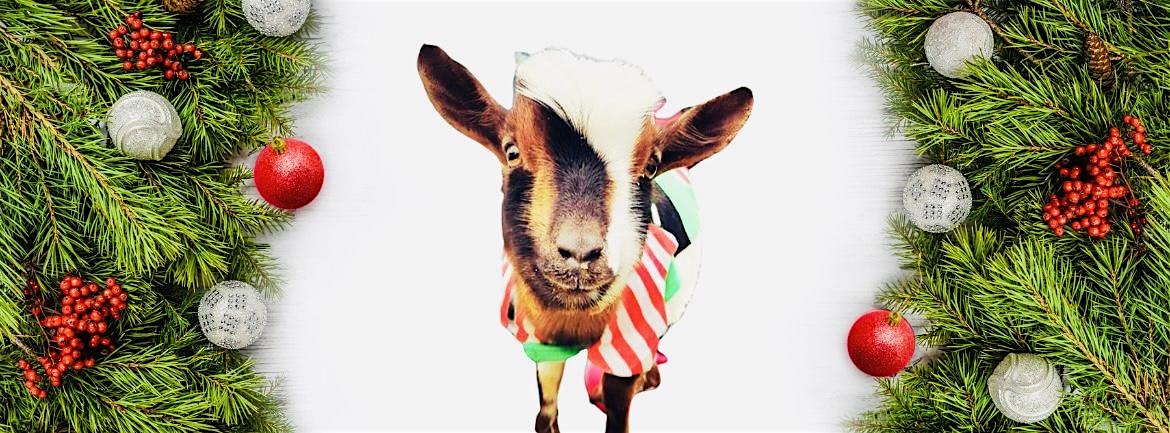 Merry Christmas Goat Yoga @ The Stix! – McKinney, TX