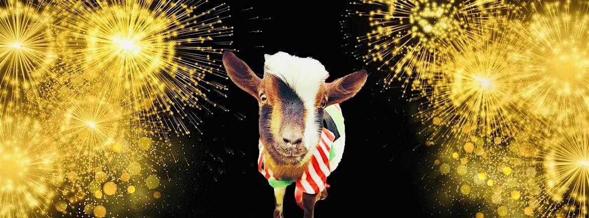 Holiday Goat Yoga Las Colinas! – Irving, TX