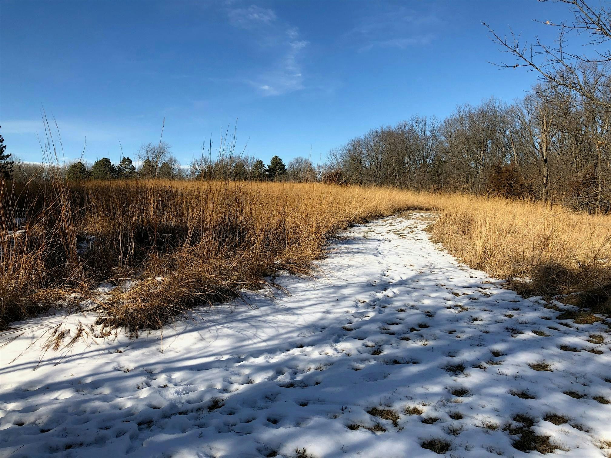 End of the Year Hike – Minburn, IA