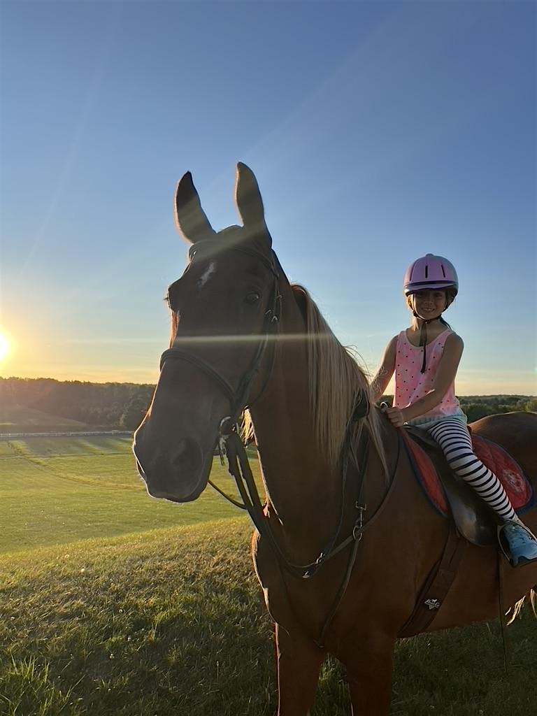 Private Riding Lessons – Verona, WI