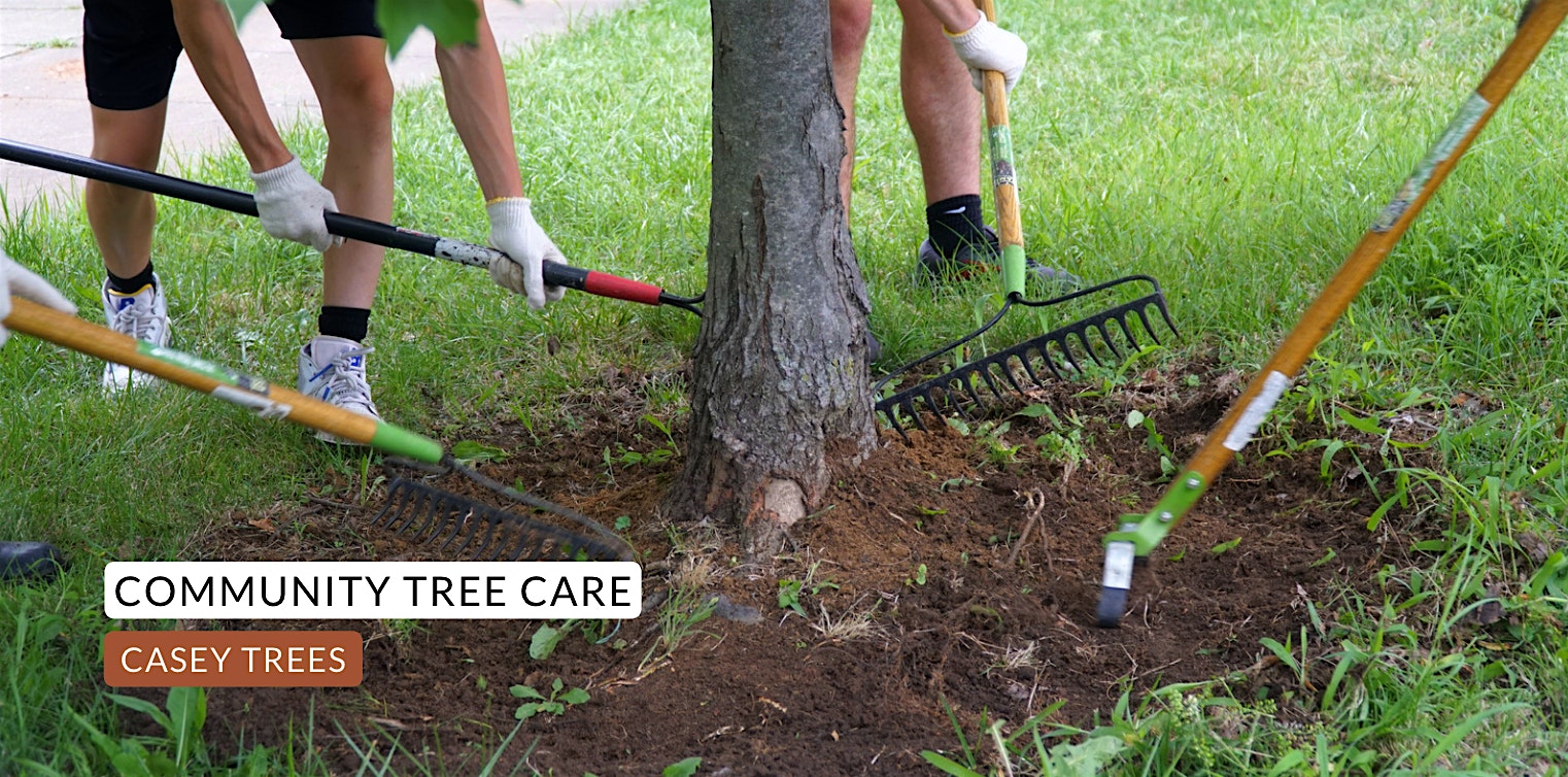 Martin Luther King Jr. Day Community Tree Care: Anacostia Park – Washington, DC