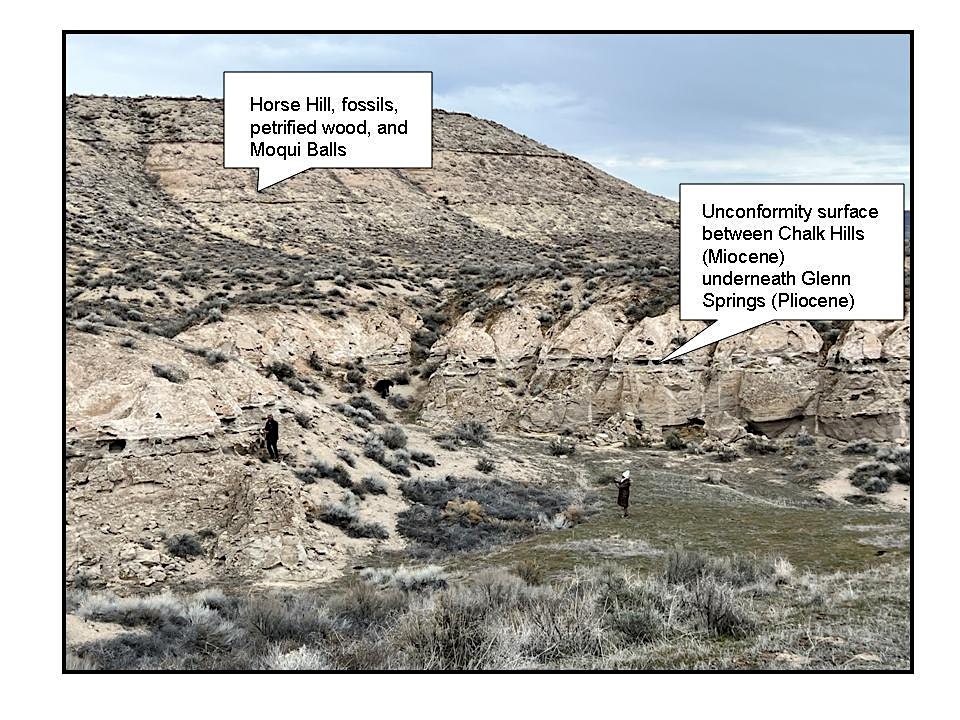 Bruneau Fossil Reef: Geologic Field Trip – Bruneau, ID