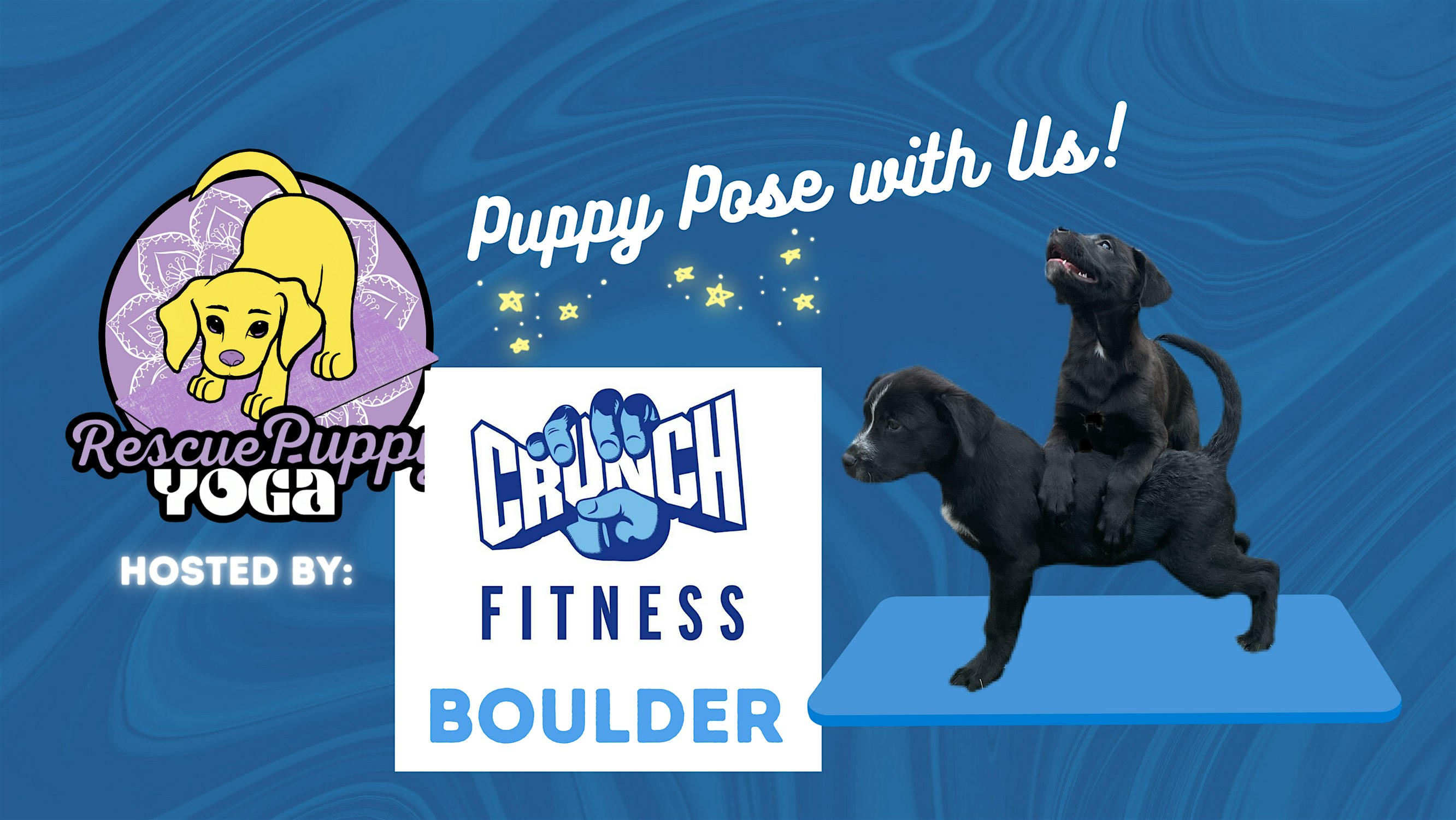 Rescue Puppy Yoga – Crunch Fitness Boulder – Boulder, CO