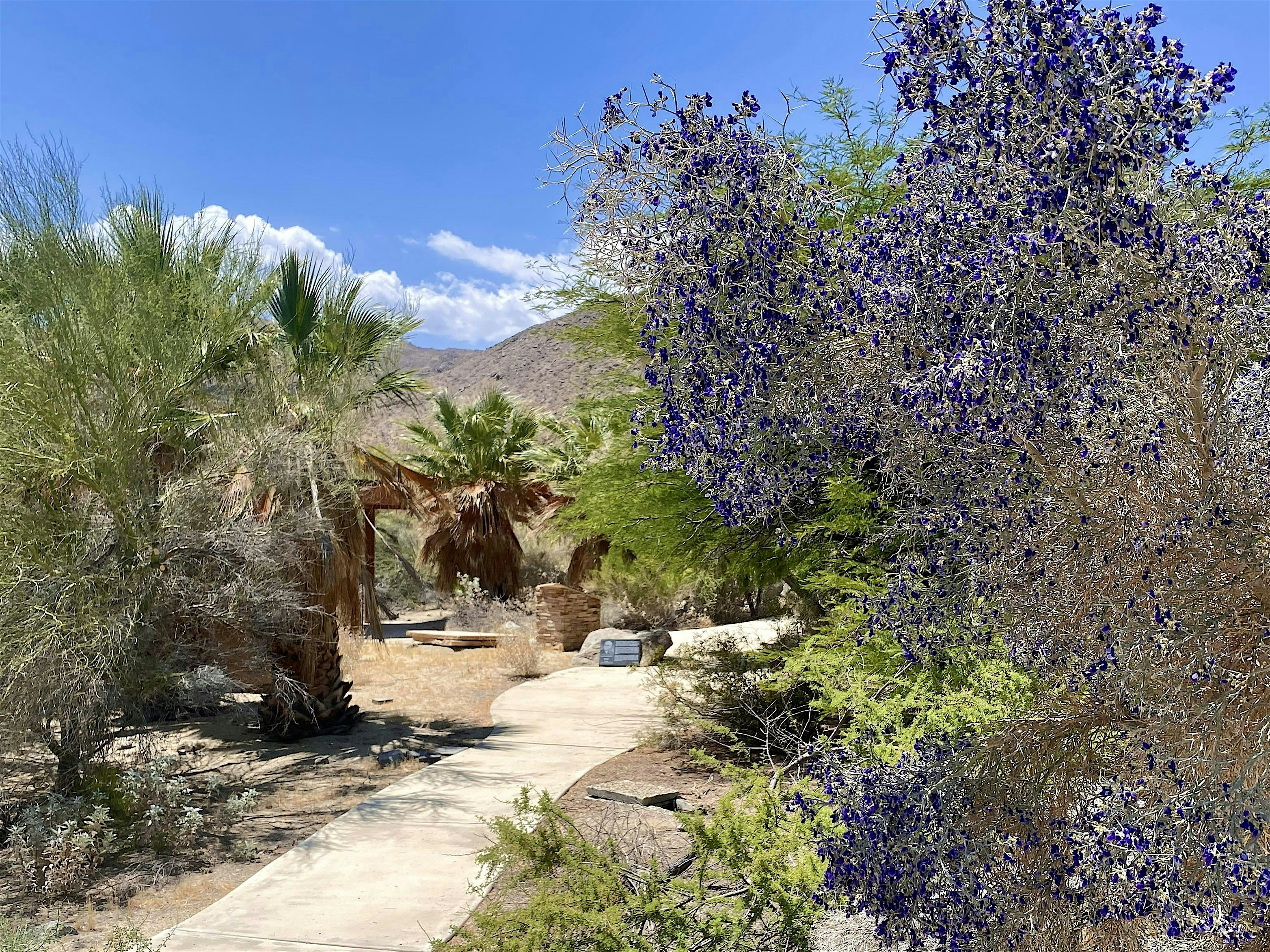 Ed Hastey Garden Walk – Palm Desert, CA