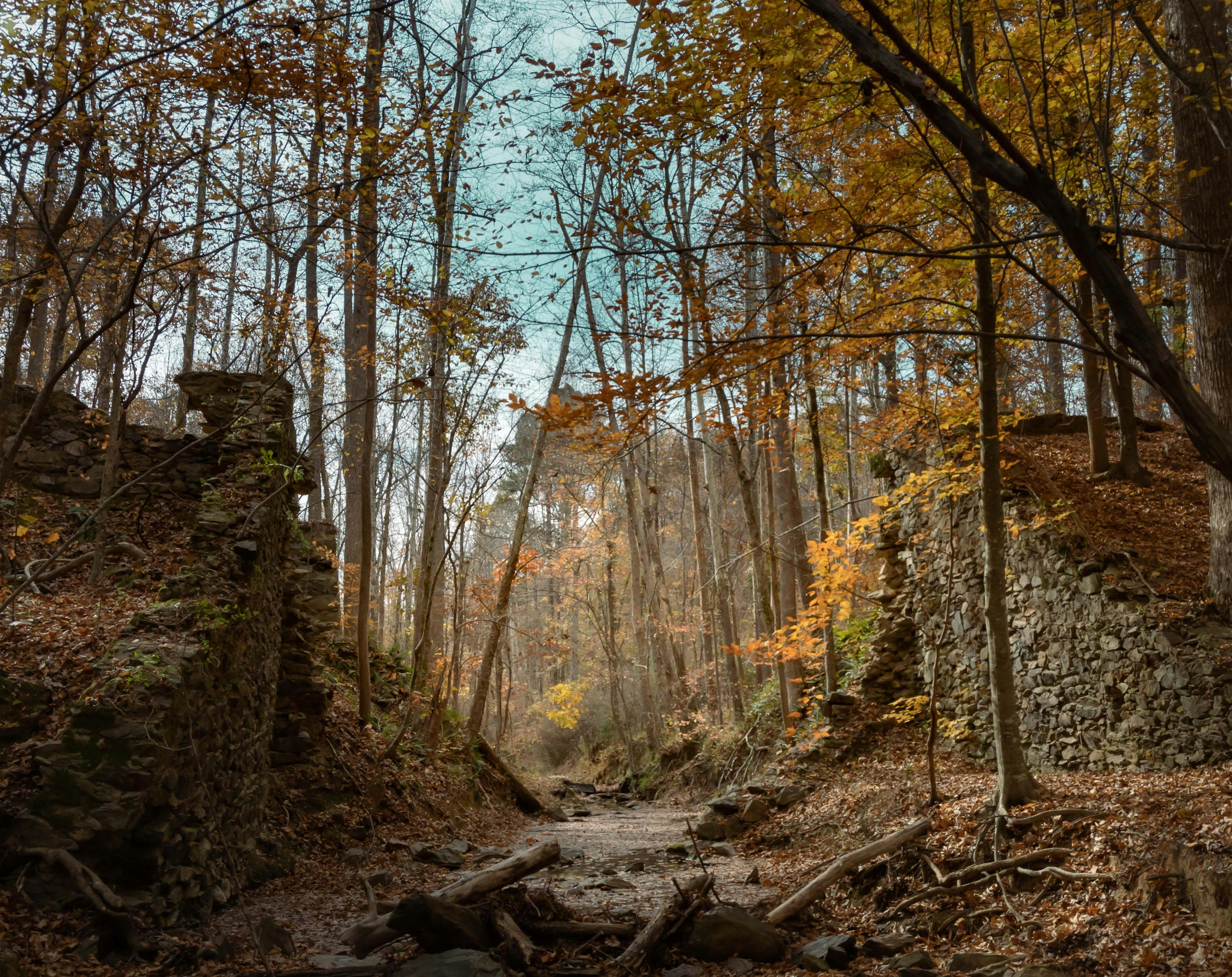 Guided History Hike – Pump Station Trail – Durham, NC